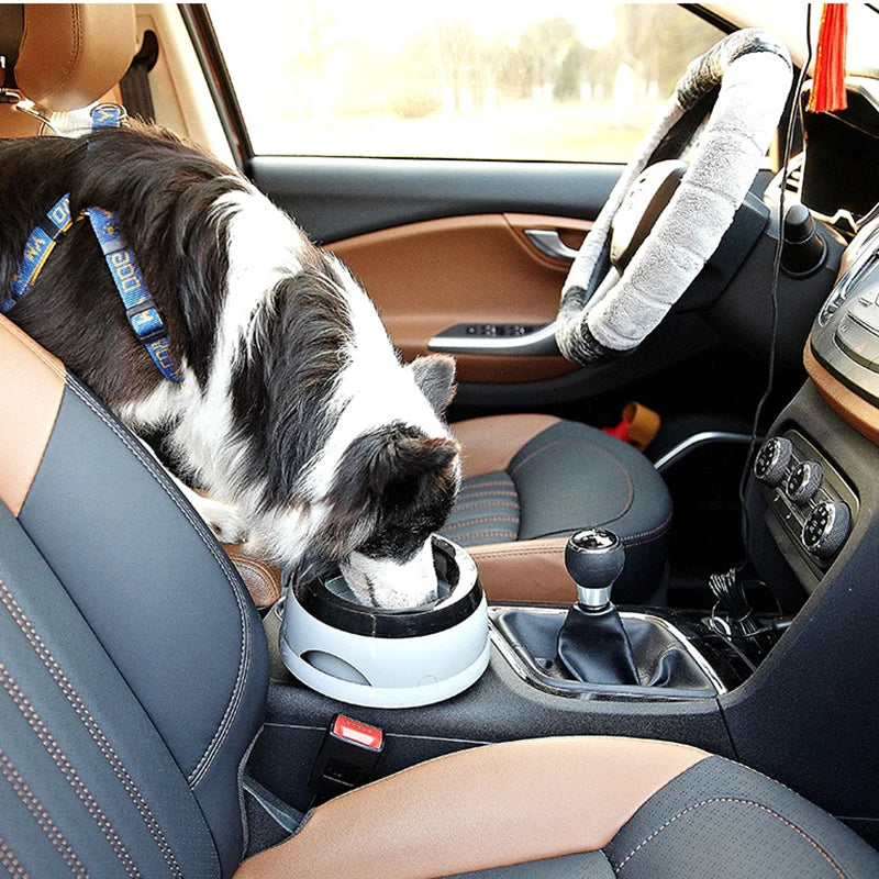 The Calm Kennel No-Spill Water Bowl — Mess-Free Hydration Anywhere