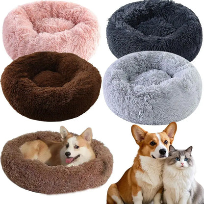 The Calm Kennel Donut Bed — Deep Sleep Design for Anxious Dogs